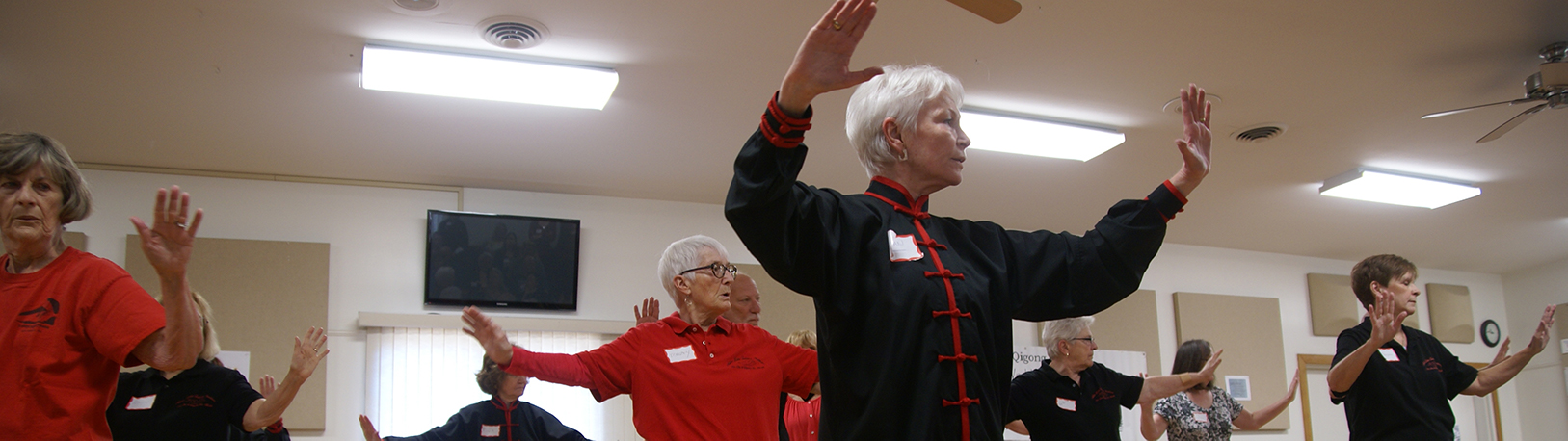 Susan Hamadock leading community tai chi class